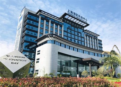 從“科創(chuàng)園區(qū)”到“城市名片” 上海灣區(qū)如何實(shí)現(xiàn)品牌躍遷